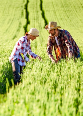 home enterprise agricultura