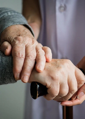 home enterprise economia social e educacao